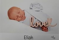 Eliah 0-00-00